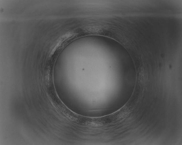 X0000053070739200507181625