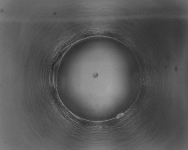 X0000053070740200507181625