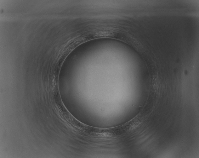 X0000053070741200507181625