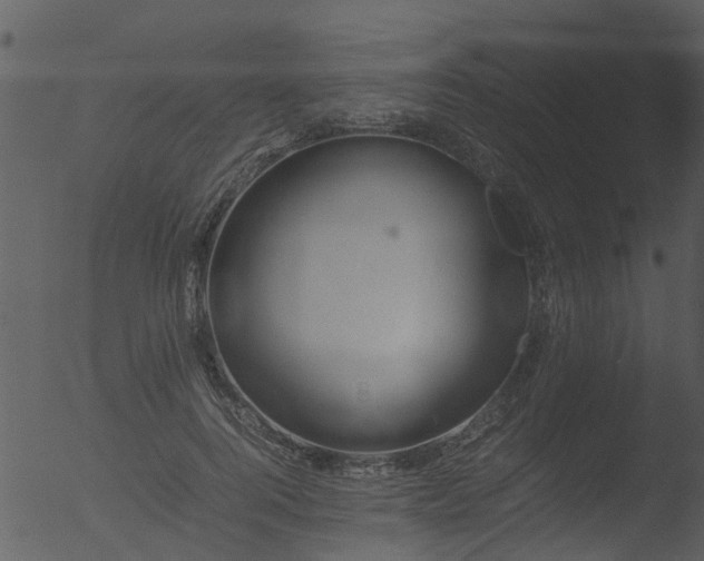 X0000053070744200507181626