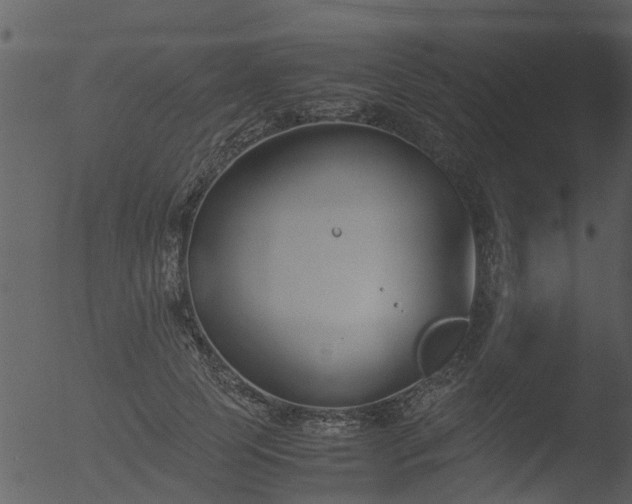 X0000053070745200507181626