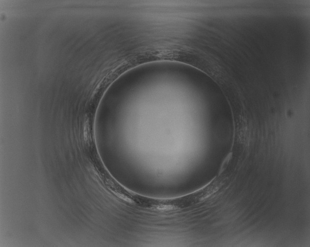 X0000053070748200507181626