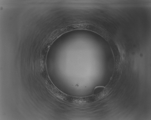 X0000053070749200507181626