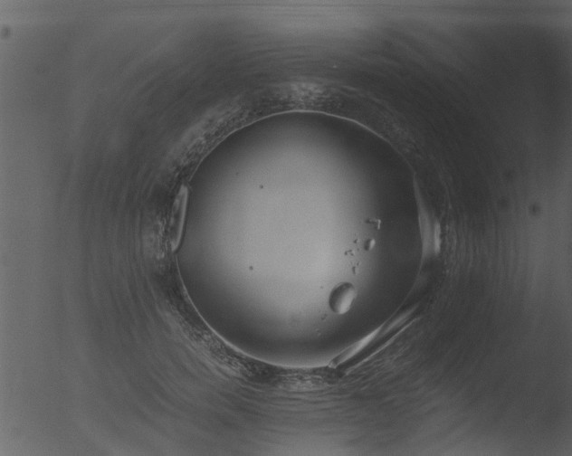 X0000053070750200507181626