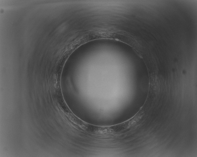 X0000053070752200507181626