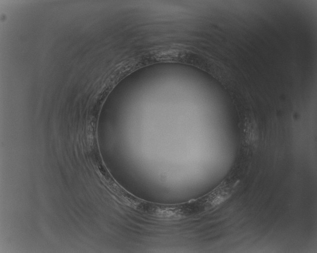 X0000053070753200507181626