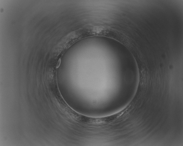 X0000053070754200507181626