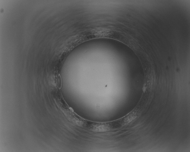 X0000053070755200507181626