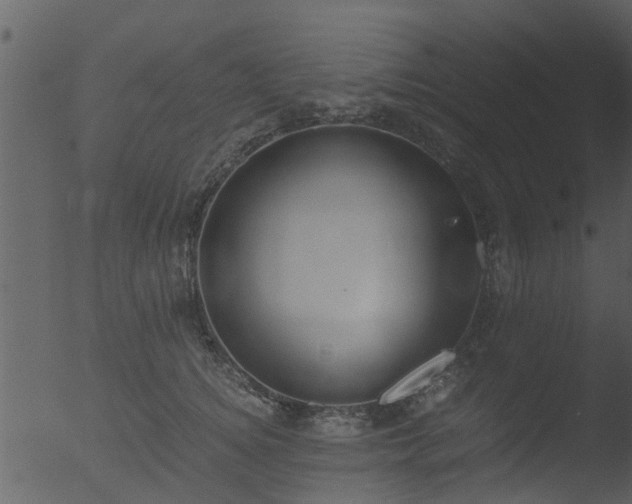 X0000053070756200507181626