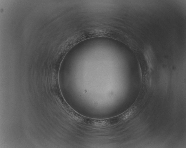 X0000053070757200507181626