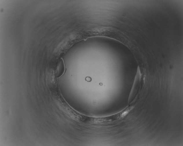 X0000053070758200507181626