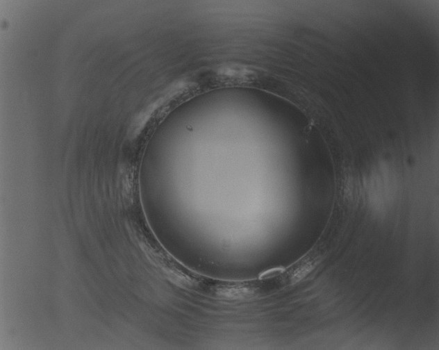 X0000053070759200507181626