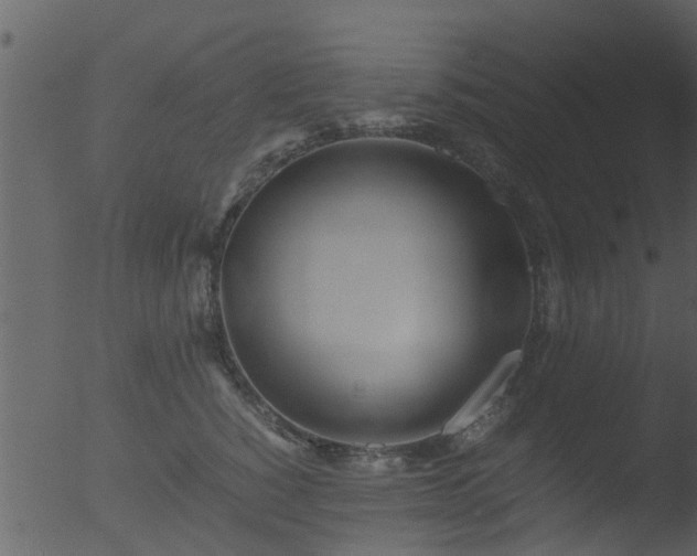 X0000053070760200507181626