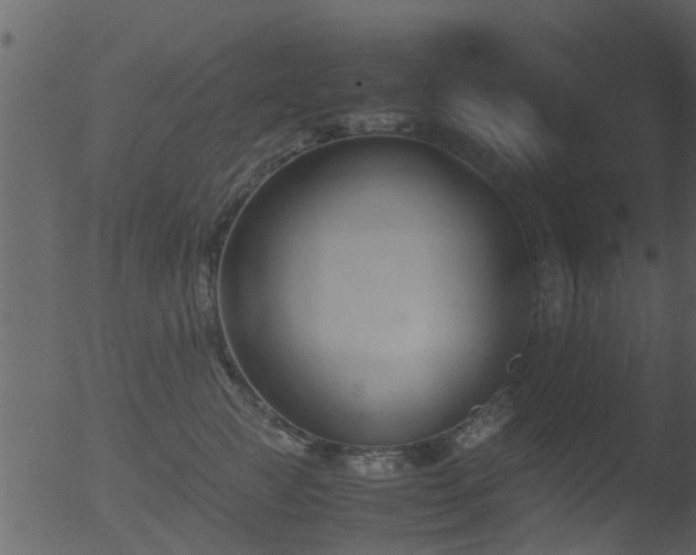 X0000053070761200507181626