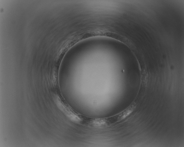 X0000053070762200507181626