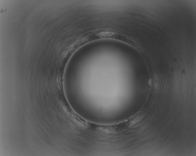 X0000053070763200507181626