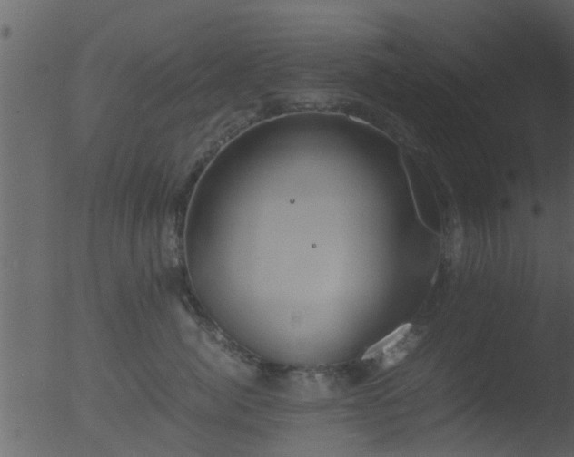 X0000053070764200507181626