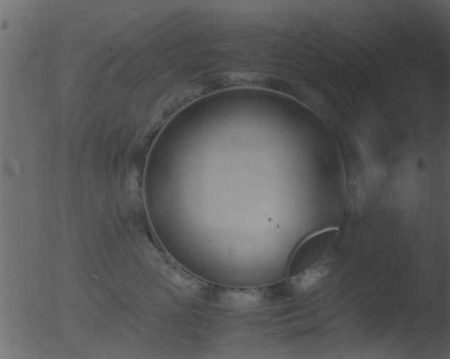 X0000053070765200507181626