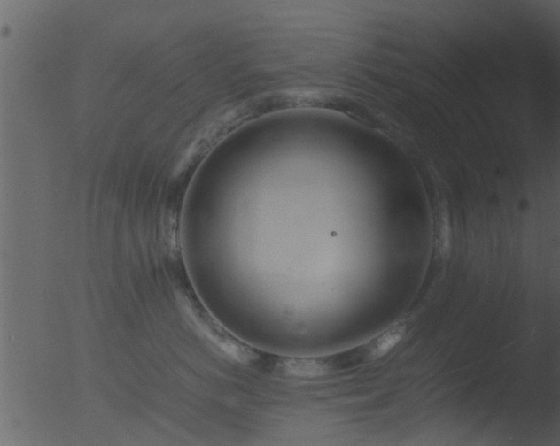 X0000053070766200507181626