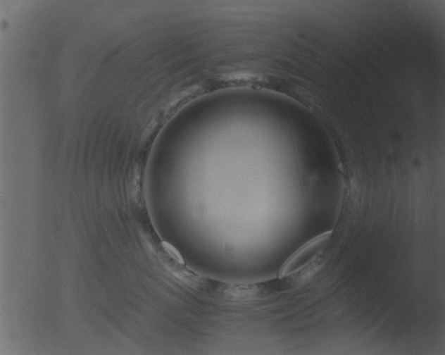 X0000053070767200507181626