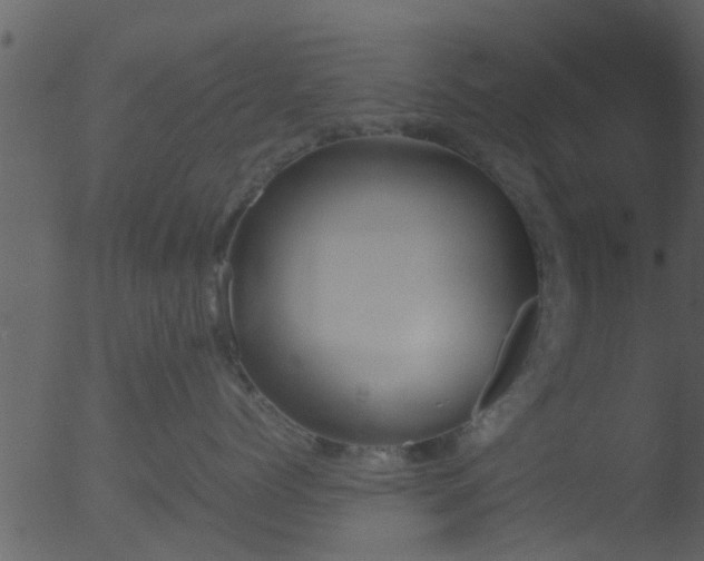 X0000053070768200507181626