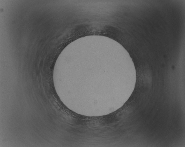 X0000053070769200507181625