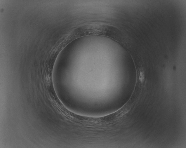 X0000053070771200507181625