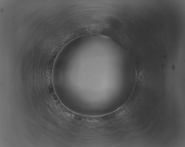 X0000053070772200507181625