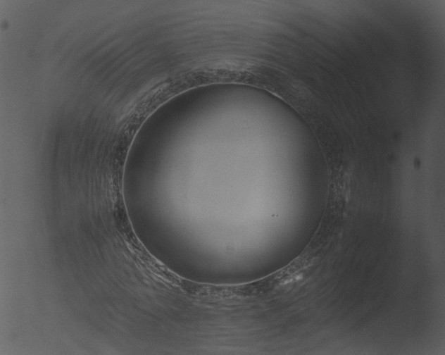 X0000053070774200507181625