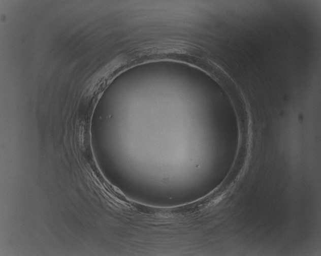 X0000053070777200507181625