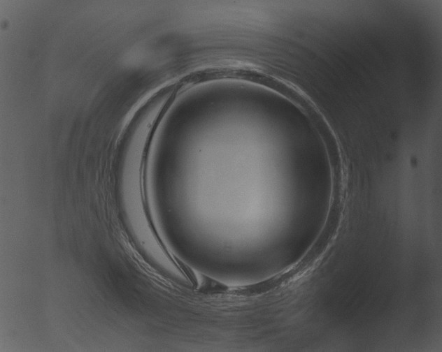 X0000053070783200507181625