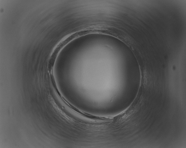 X0000053070784200507181625