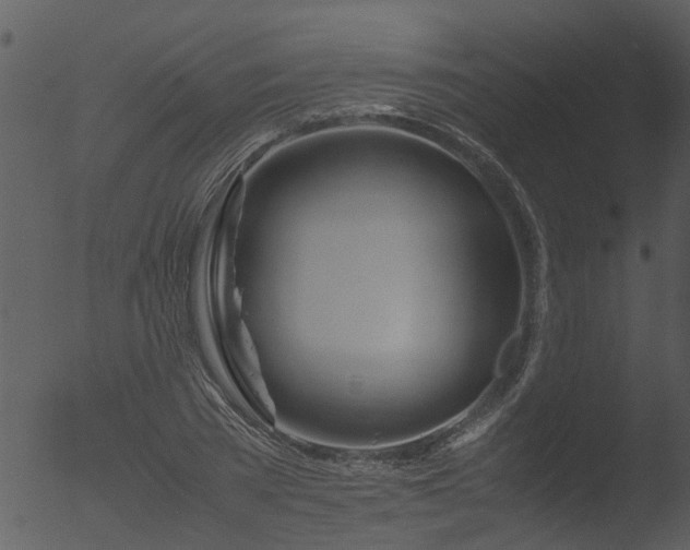 X0000053070785200507181625