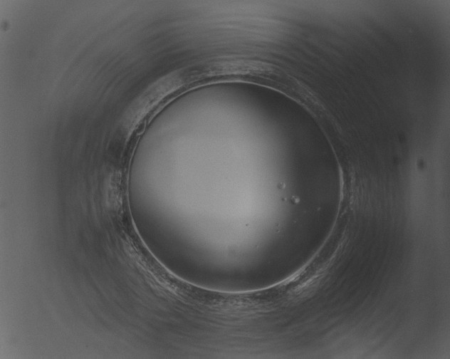 X0000053070786200507181625