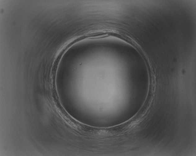 X0000053070787200507181625