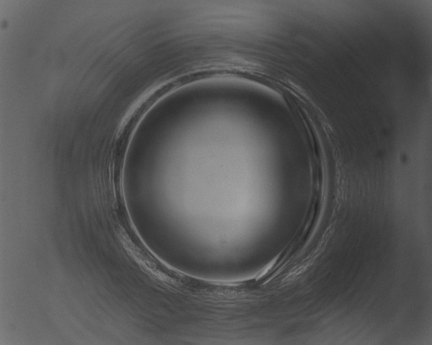 X0000053070788200507181625