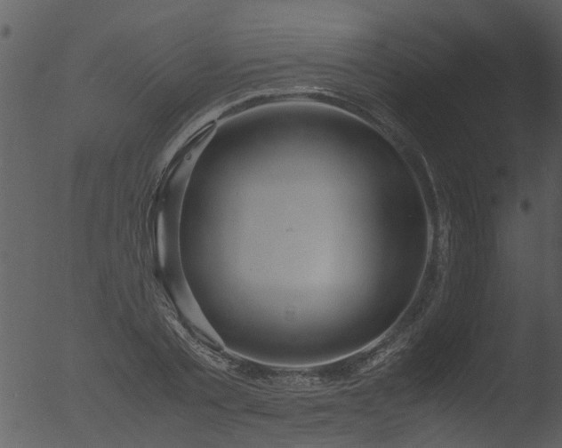 X0000053070789200507181625