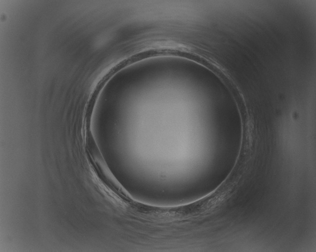 X0000053070791200507181625