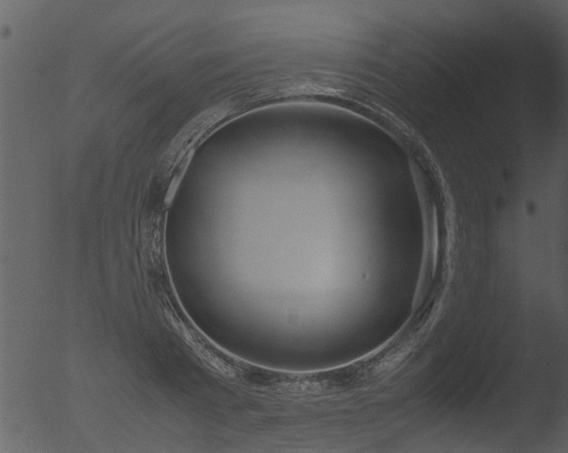 X0000053070793200507181625