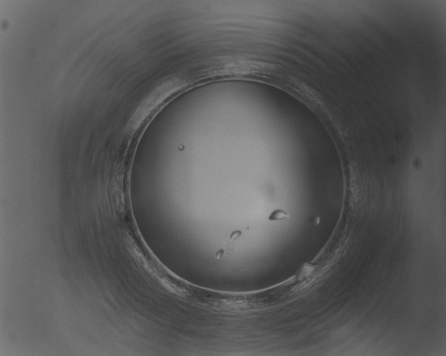 X0000053070794200507181625