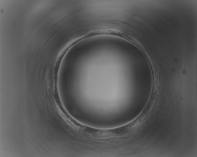 X0000053070795200507181625