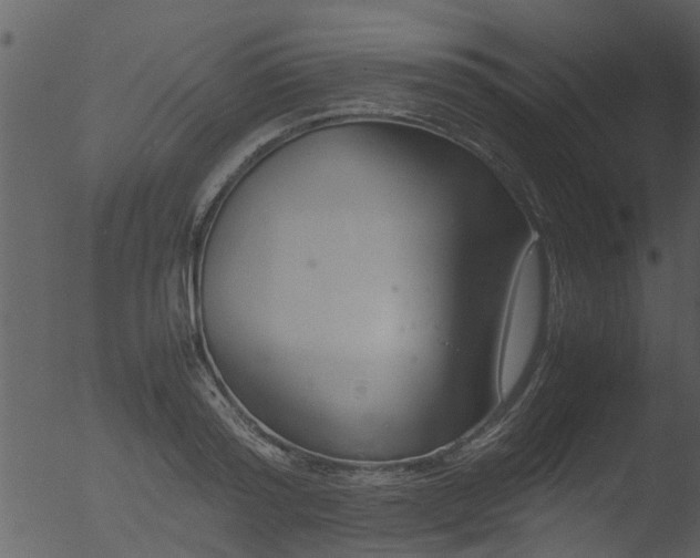 X0000053070796200507181625