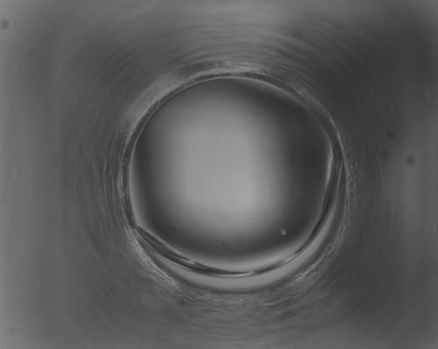 X0000053070797200507181625