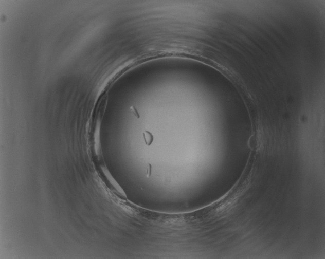 X0000053070798200507181625