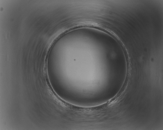 X0000053070799200507181625