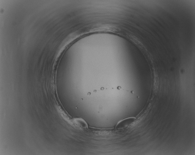 X0000053070800200507181625