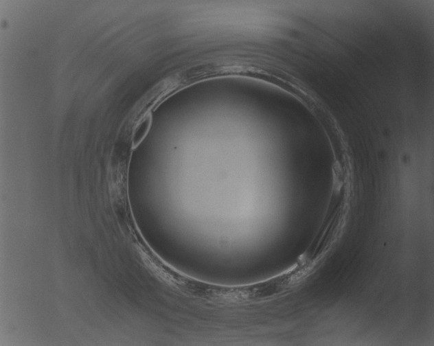 X0000053070801200507181625