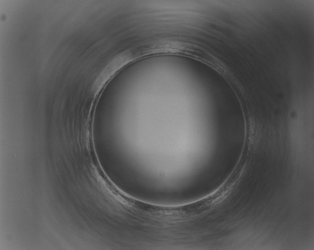 X0000053070802200507181625