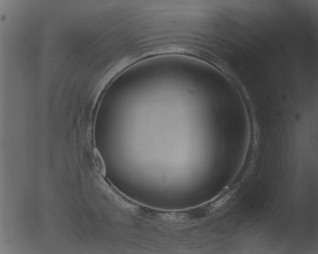 X0000053070805200507181624