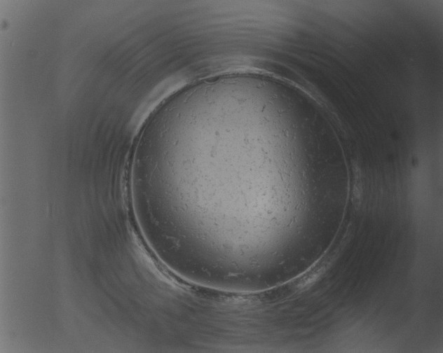 X0000053070806200507181624